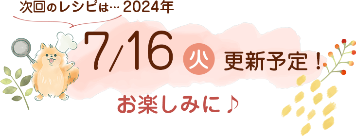 わんごはん次回の更新は2024年7/16(火)です！お楽しみに♪