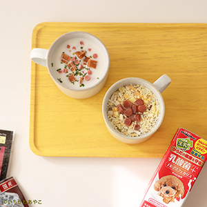 2026年6月レシピ カンタン即席そうめんヌードル