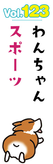 わんちゃんスポーツ