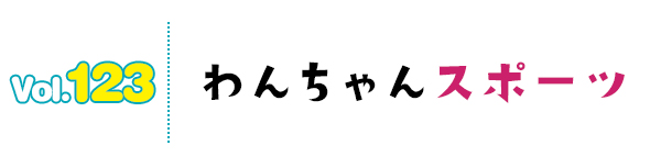 わんちゃんスポーツ
