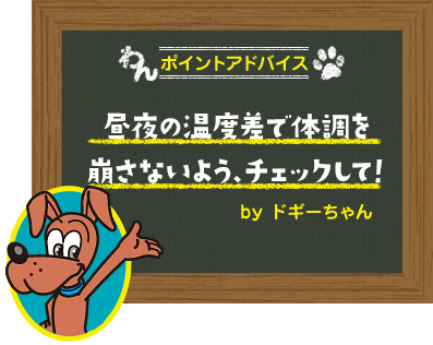 昼夜の温度差で体調を崩さないよう、チェックして!
