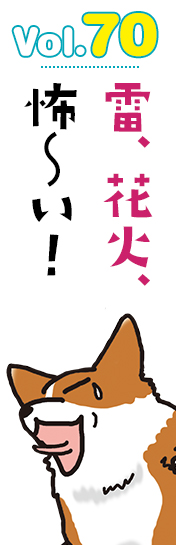 雷、花火、怖~い!