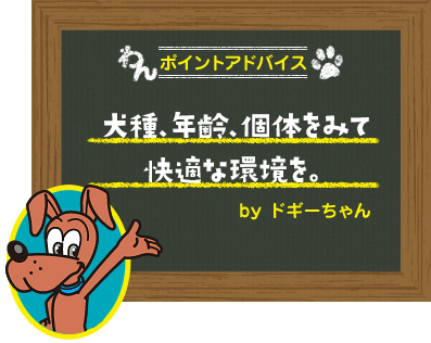 犬種、年齢、個体をみて快適な環境を。