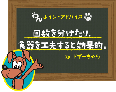 回数を分けたり、食器を工夫すると効果的。