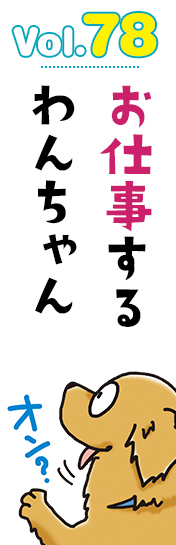 お仕事するわんちゃん