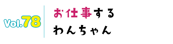 お仕事するわんちゃん