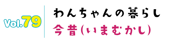 わんちゃんの暮らし今昔(いまむかし)
