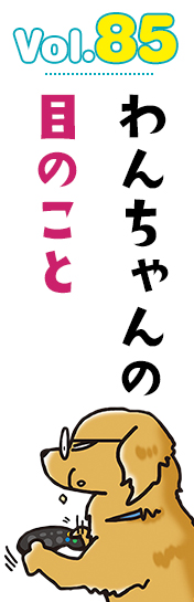 わんちゃんの目のこと