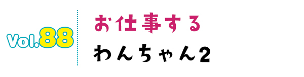 お仕事するわんちゃん2