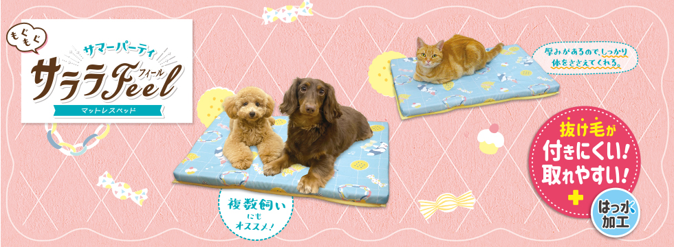 サララＦｅｅｌ　マットレスベッド　もぐもぐサマーパーティ