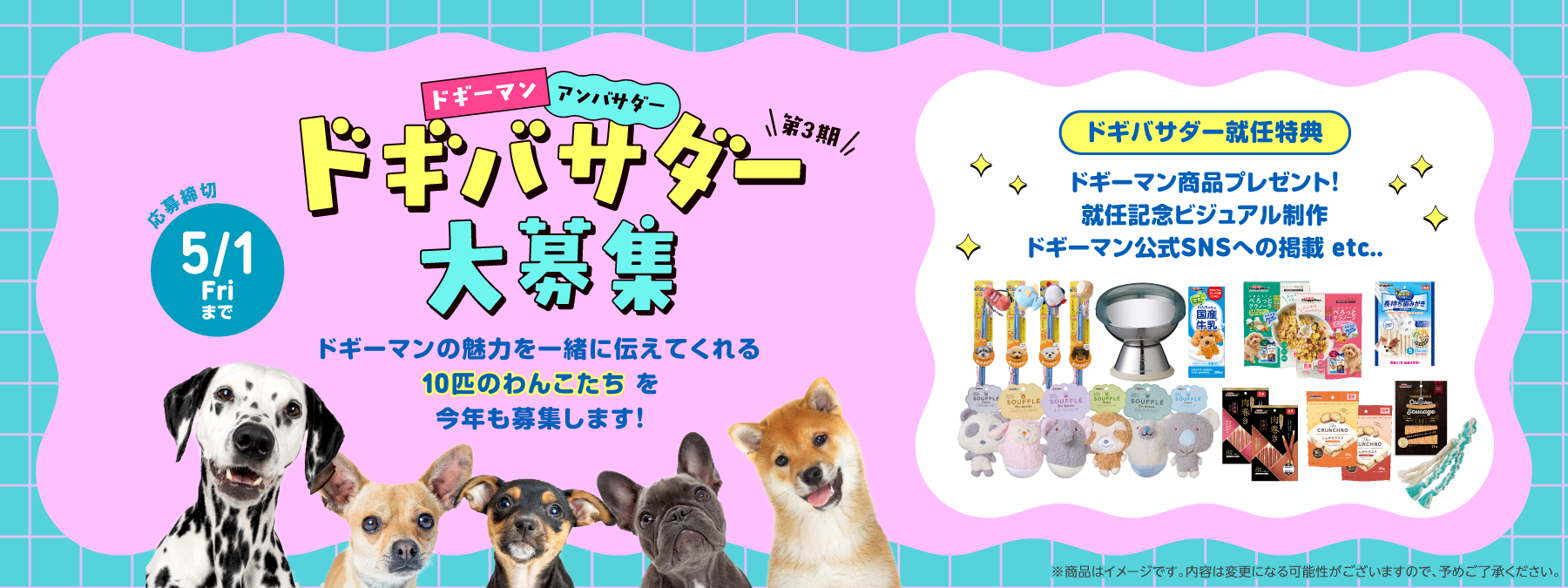 ドギーマンアンバサダー 第3期ドギバサダー大募集！