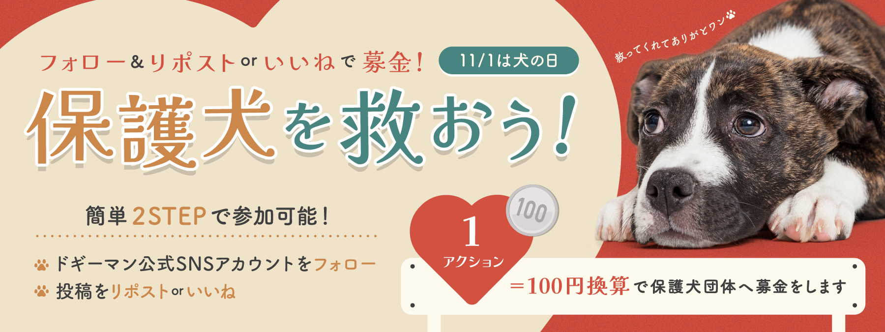 フォロー＆リポストorいいねで募金！11月1日は犬の日 保護犬を救おう！