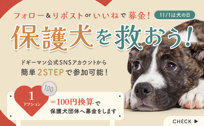 フォロー＆リポストorいいねで募金！11月1日は犬の日 保護犬を救おう！