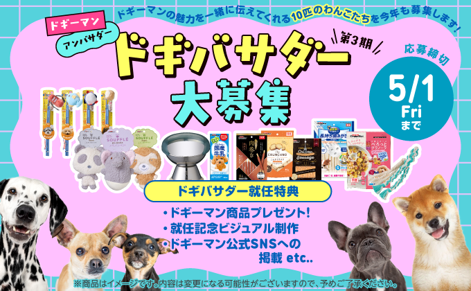 ドギーマンアンバサダー 第3期ドギバサダー大募集！