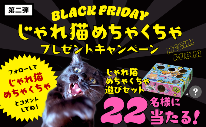 ブラックフライデー じゃれ猫めちゃくちゃプレゼントキャンペーン