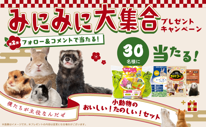 みにみに大集合プレゼントキャンペーン