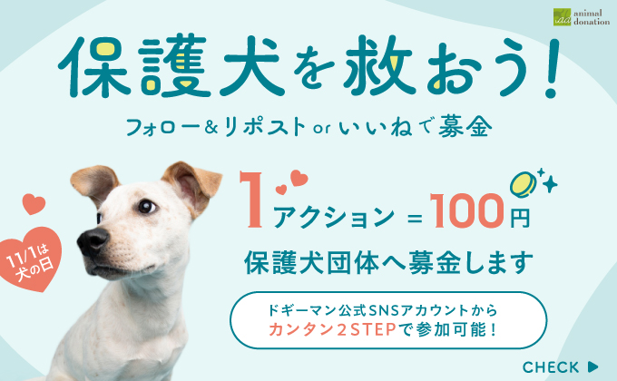 保護犬を救おう